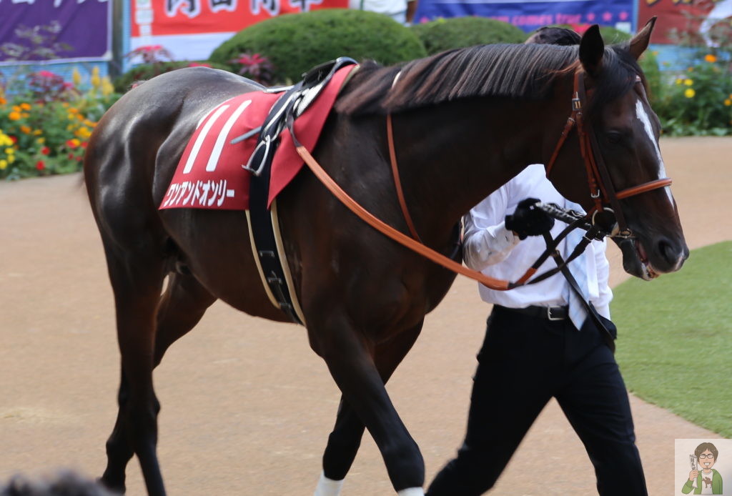 競馬って実はギャンブルじゃなかった？