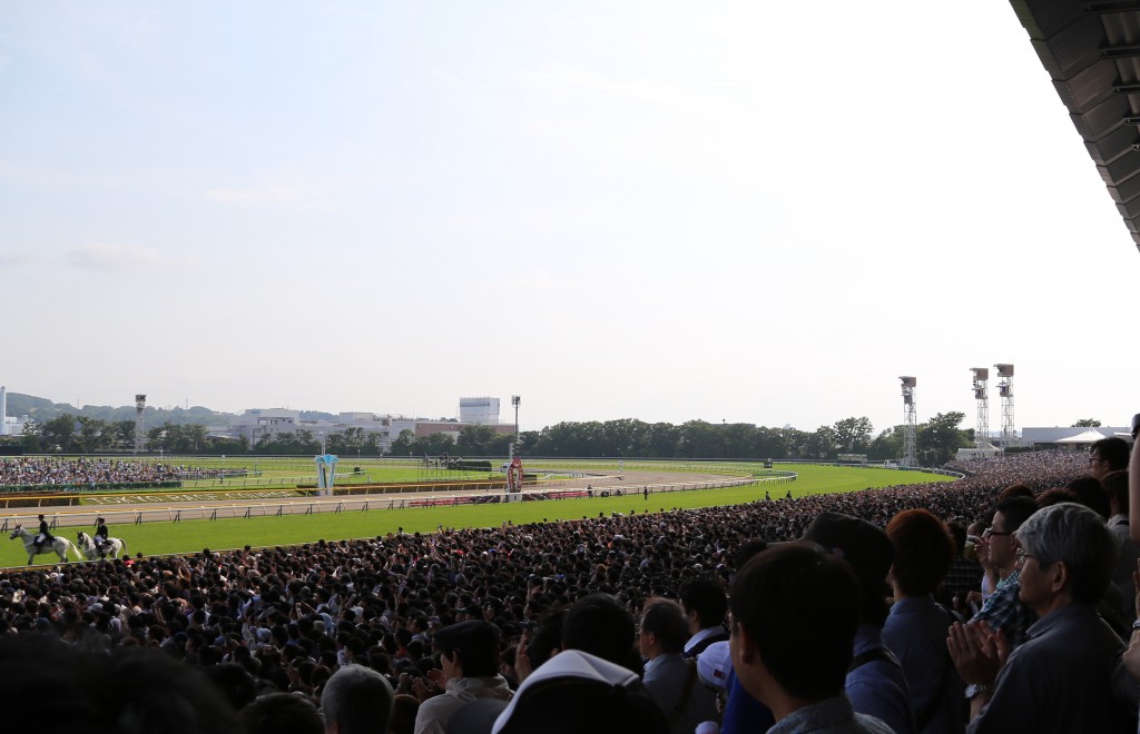東京競馬場の様子