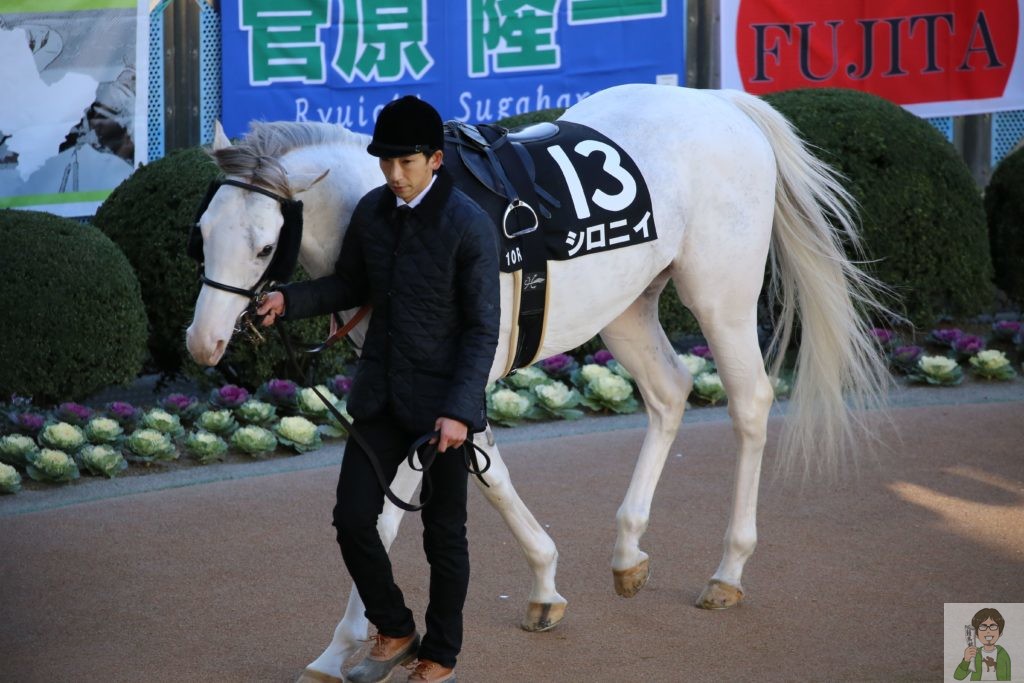 パドックイメージ