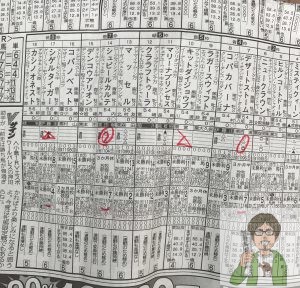 競馬新聞イメージ