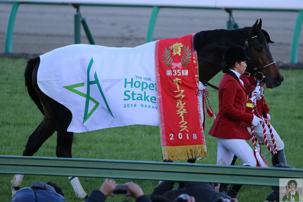 ホープフルステークスイメージ