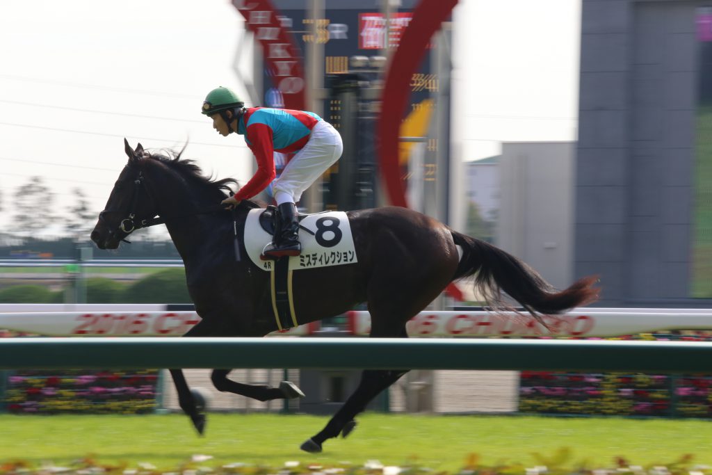 ミスディレクション