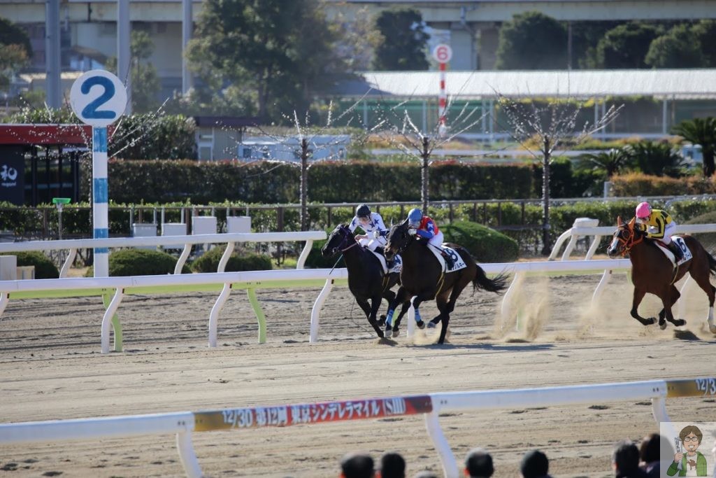 冬の馬場の傾向は重め