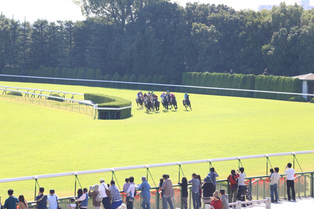 競馬場イメージ