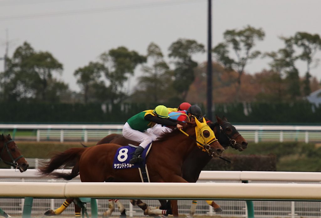 サウンドトゥルー差し切り