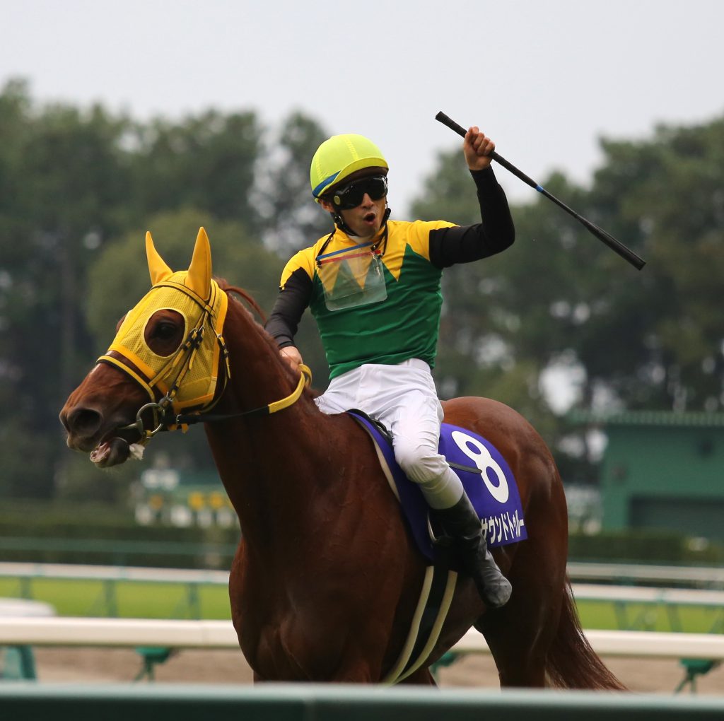 サウンドトゥルー