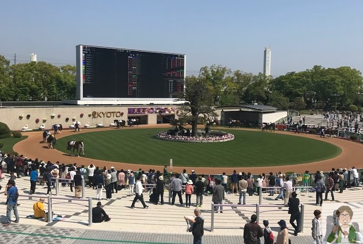 午前中のパドック