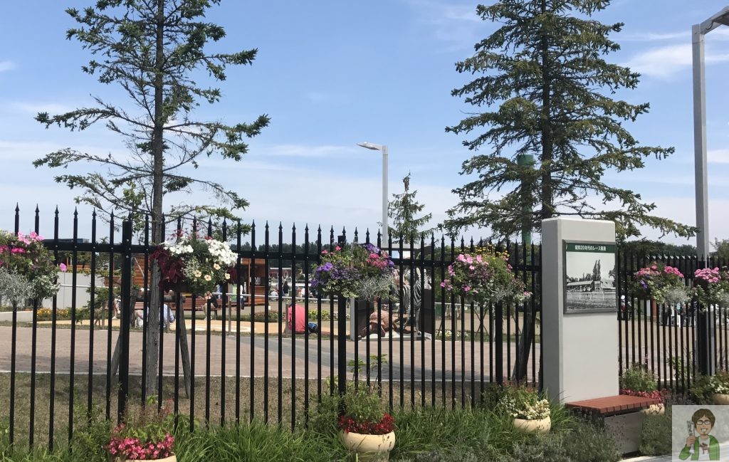 札幌競馬場の様子