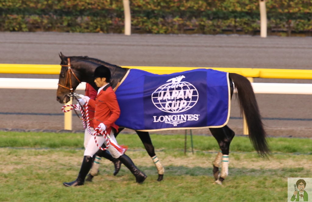 競馬はドラマチックだ