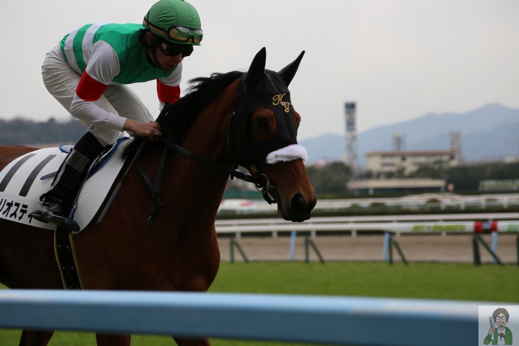 馬が近い返し馬