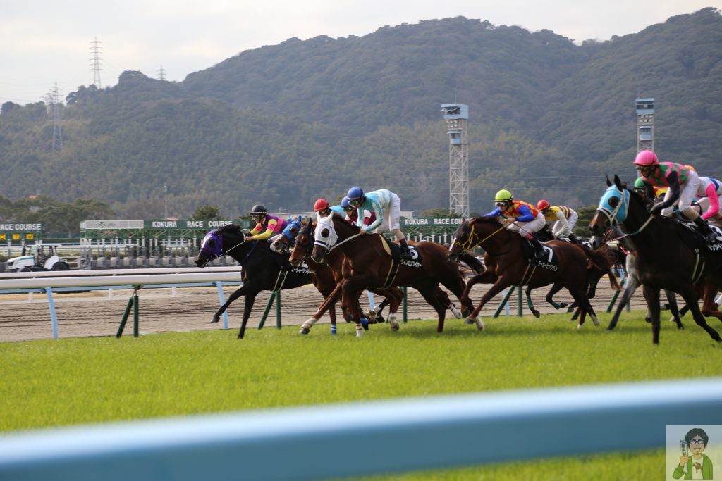 小倉競馬場イメージ