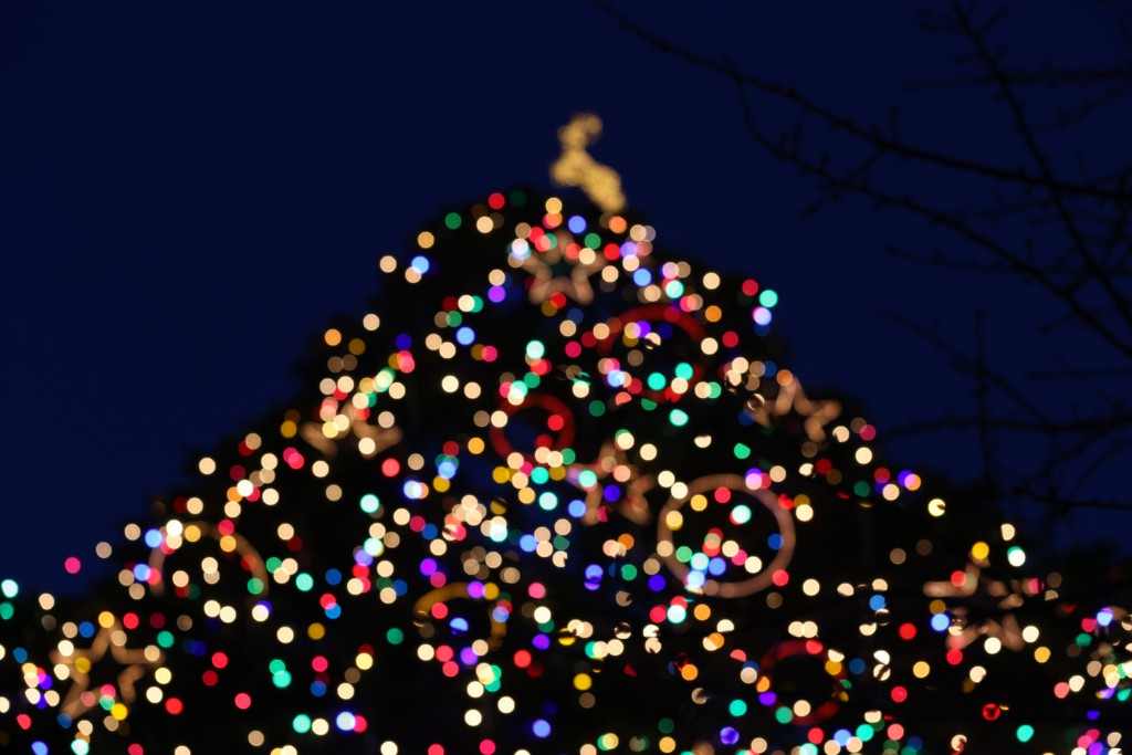 中山競馬場イメージ