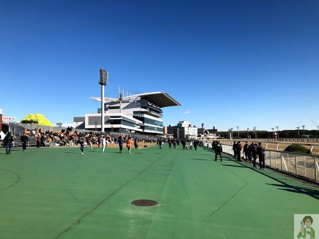 大井競馬場イメージ