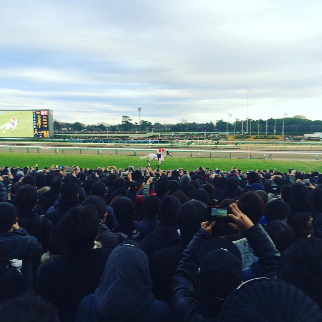 ゴールドシップの返し馬