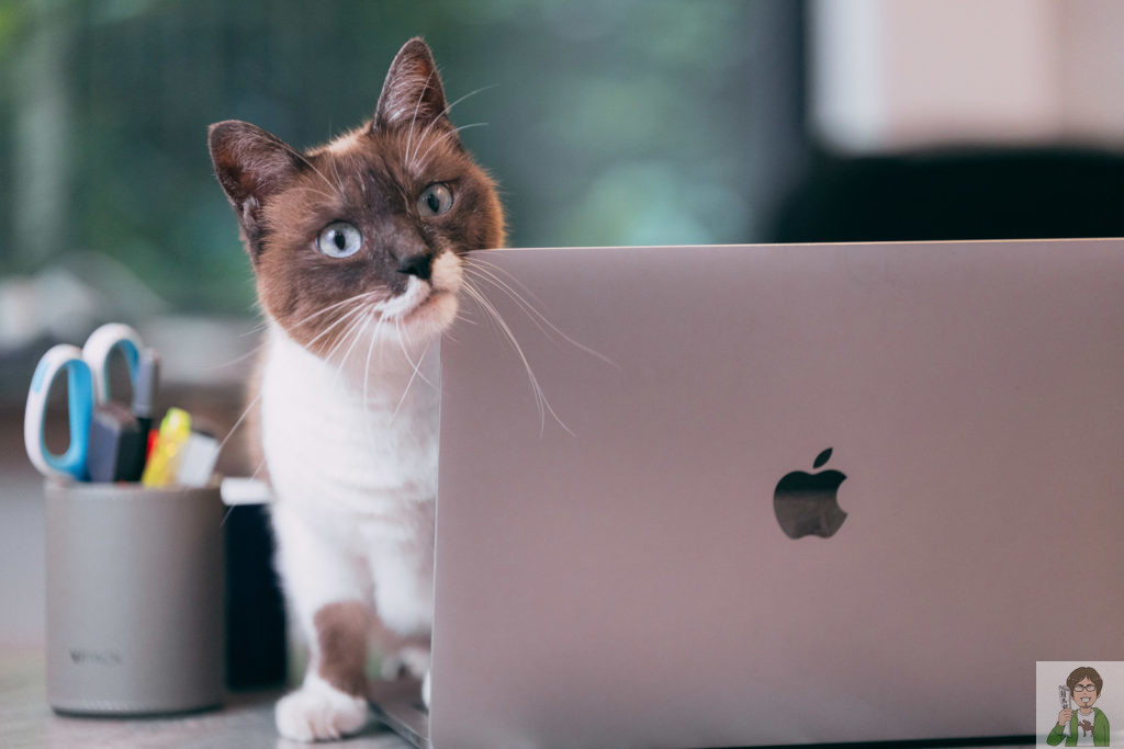 パソコンを使えば無料で競馬予想可能