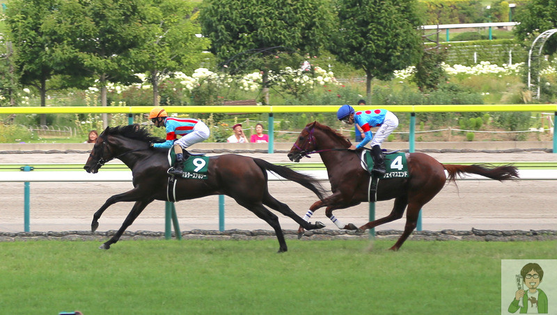 福島競馬場に七夕記念を観戦しに行ってきた