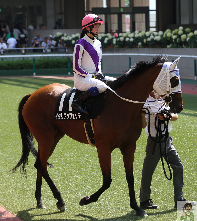 福島競馬場の様子