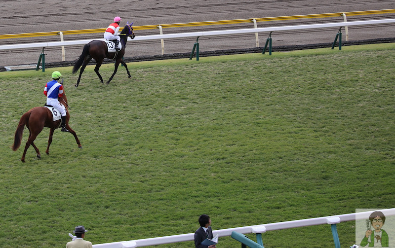 新潟競馬場の芝コース