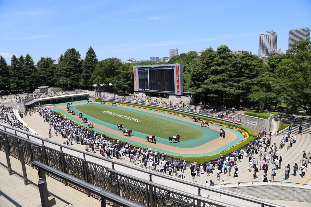 パドックイメージ