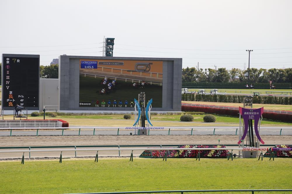 ターフビジョン