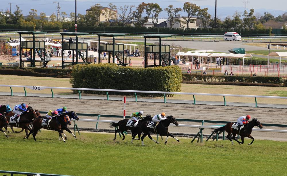 メインスタンドから観戦