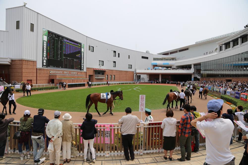 パドックの様子