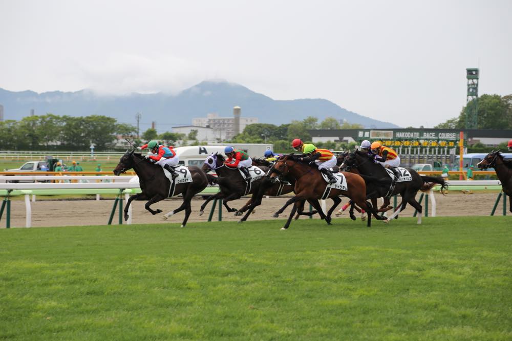 目の前を馬が走る