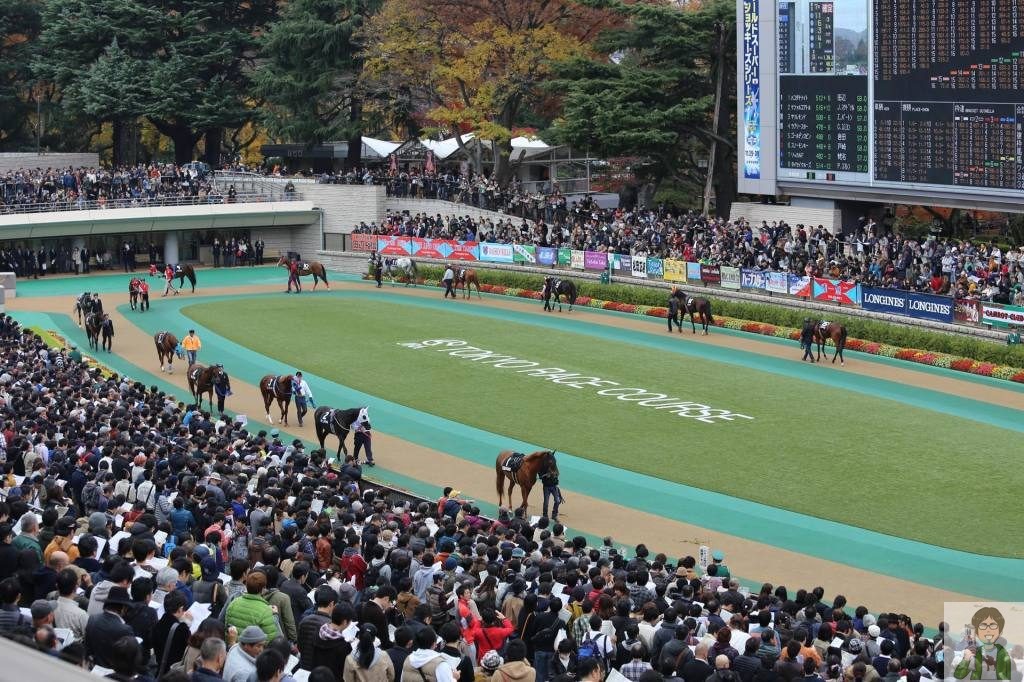東京コースイメージ
