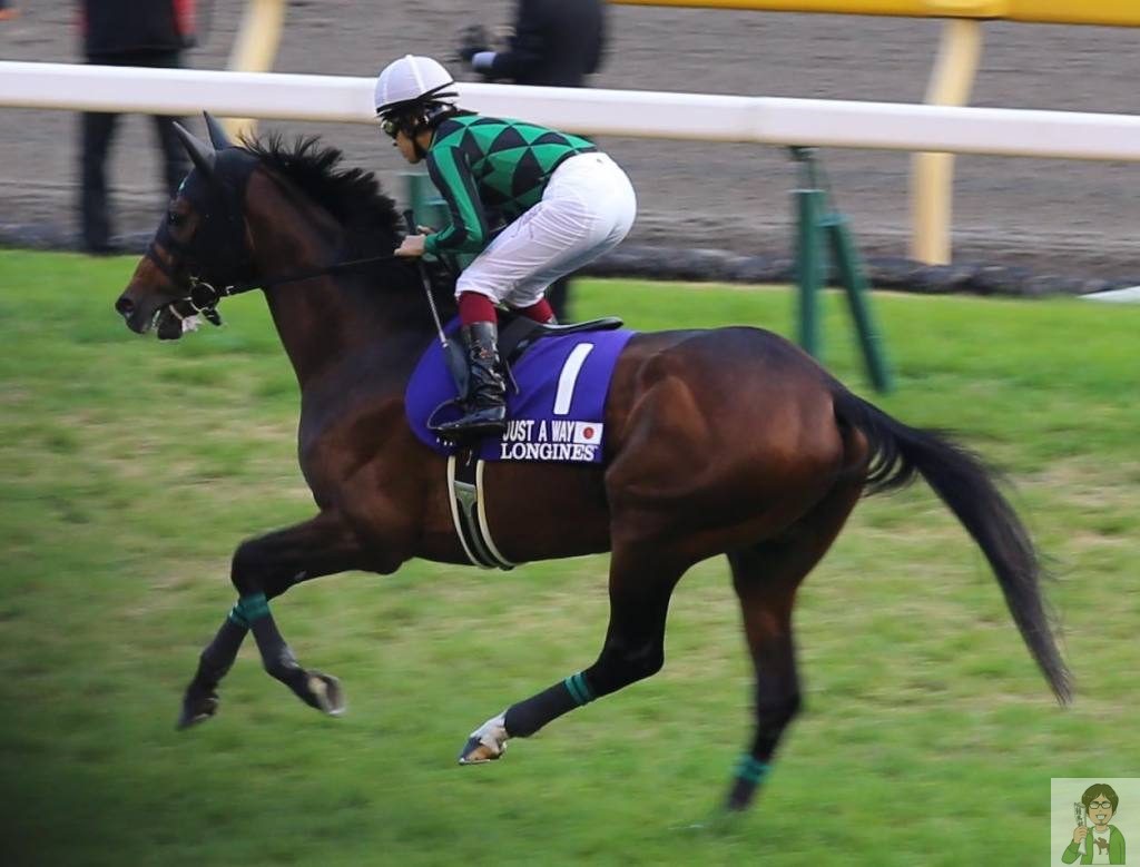 ジャパンカップイメージ