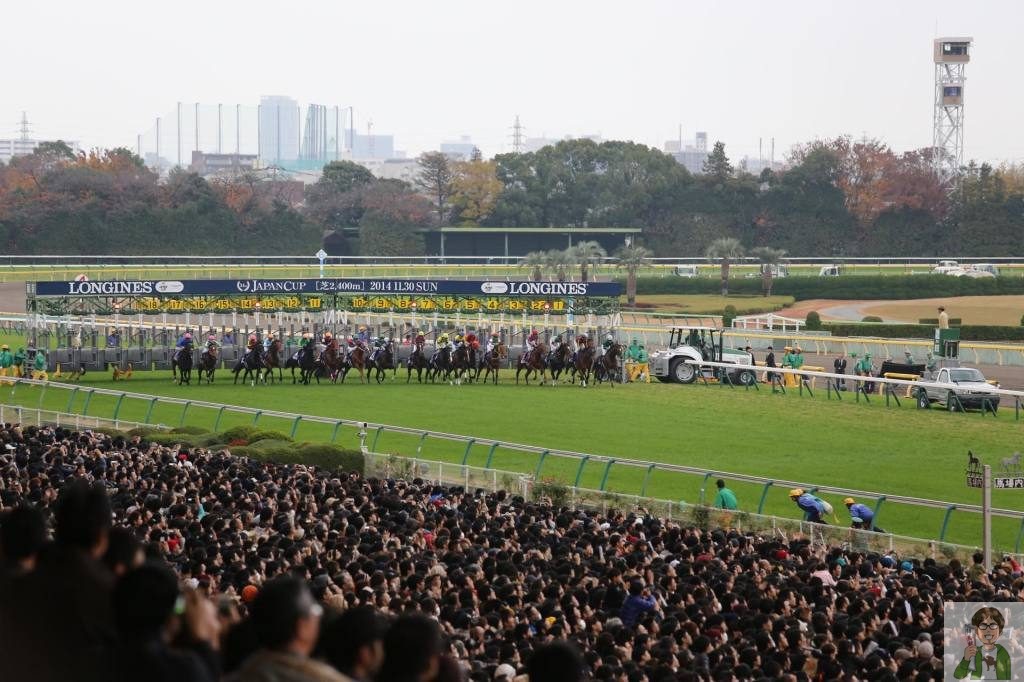ジャパンカップの混雑イメージ