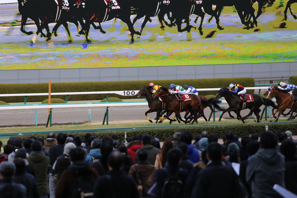 阪神競馬場