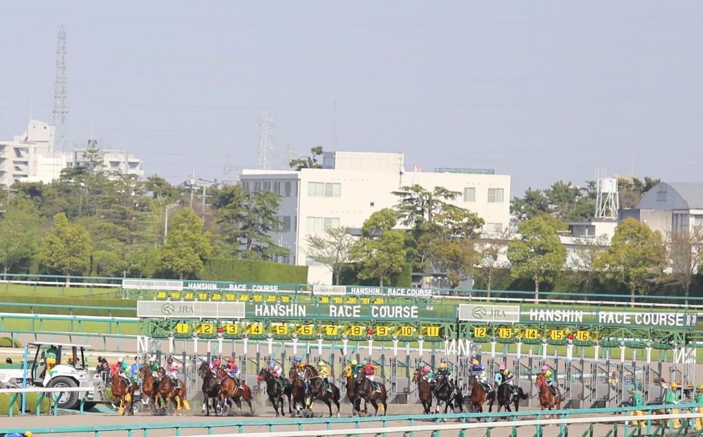 th_IMG_9905-1024x637