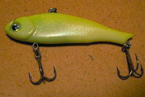 マールアミーゴ画像