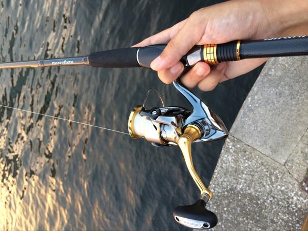 シーバスリールの基礎知識と選び方、おすすめを紹介!