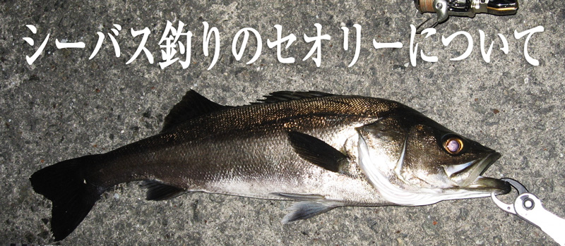 シーバス釣りのセオリー