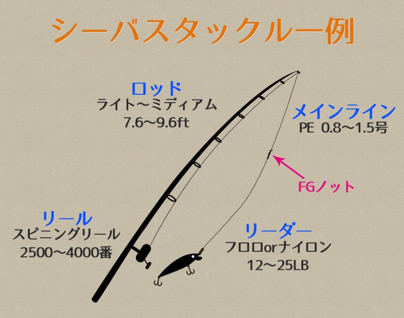 シーバスタックルの基礎知識