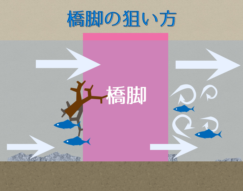 橋脚を横からみた図