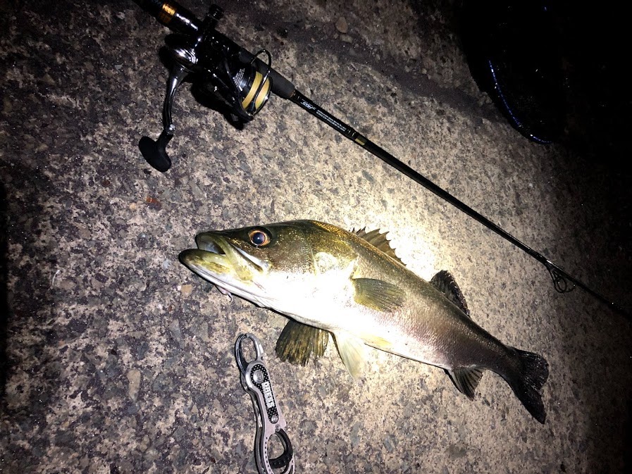 どういうところでよく使う?