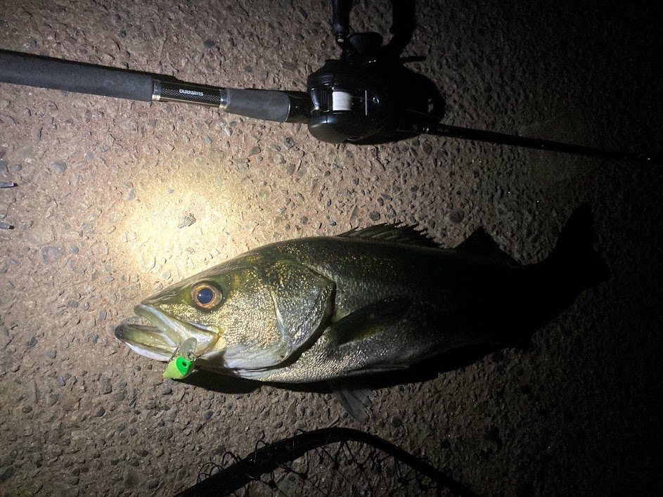 ビーフリーズの使い方