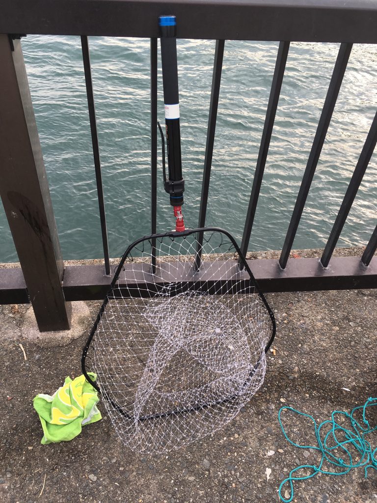 タモ網のイメージ