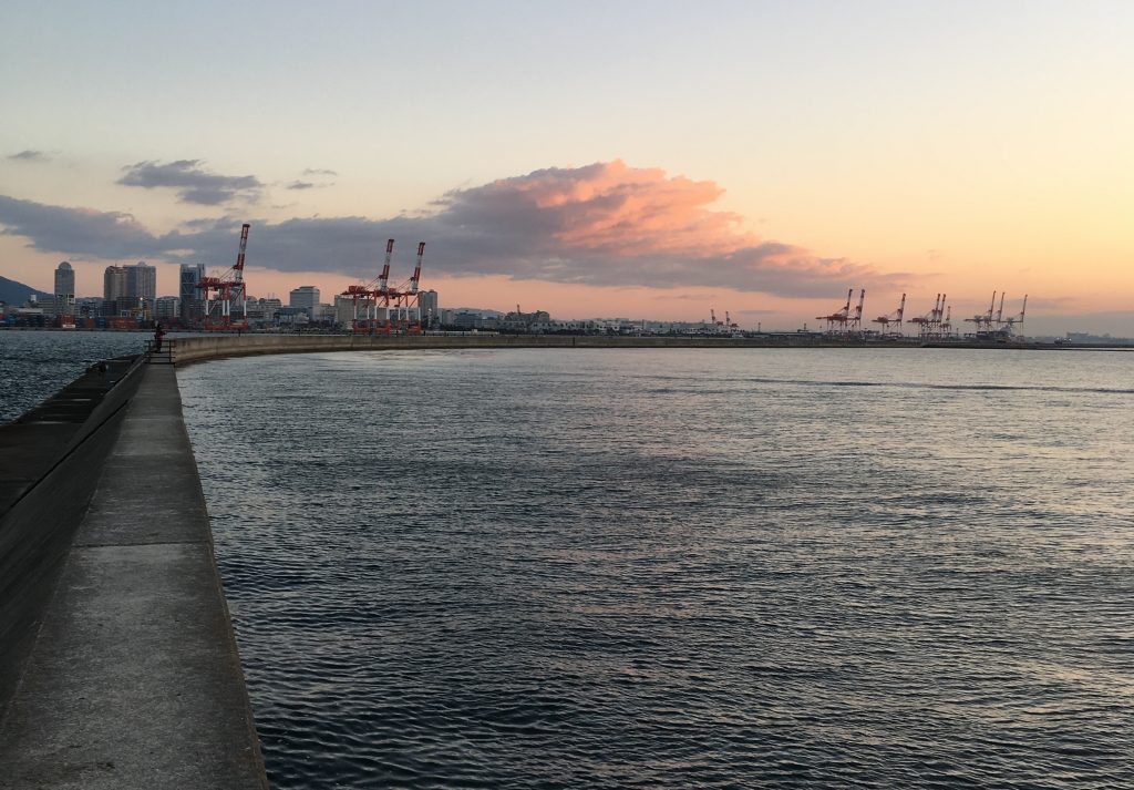 タモアミの長さイメージ