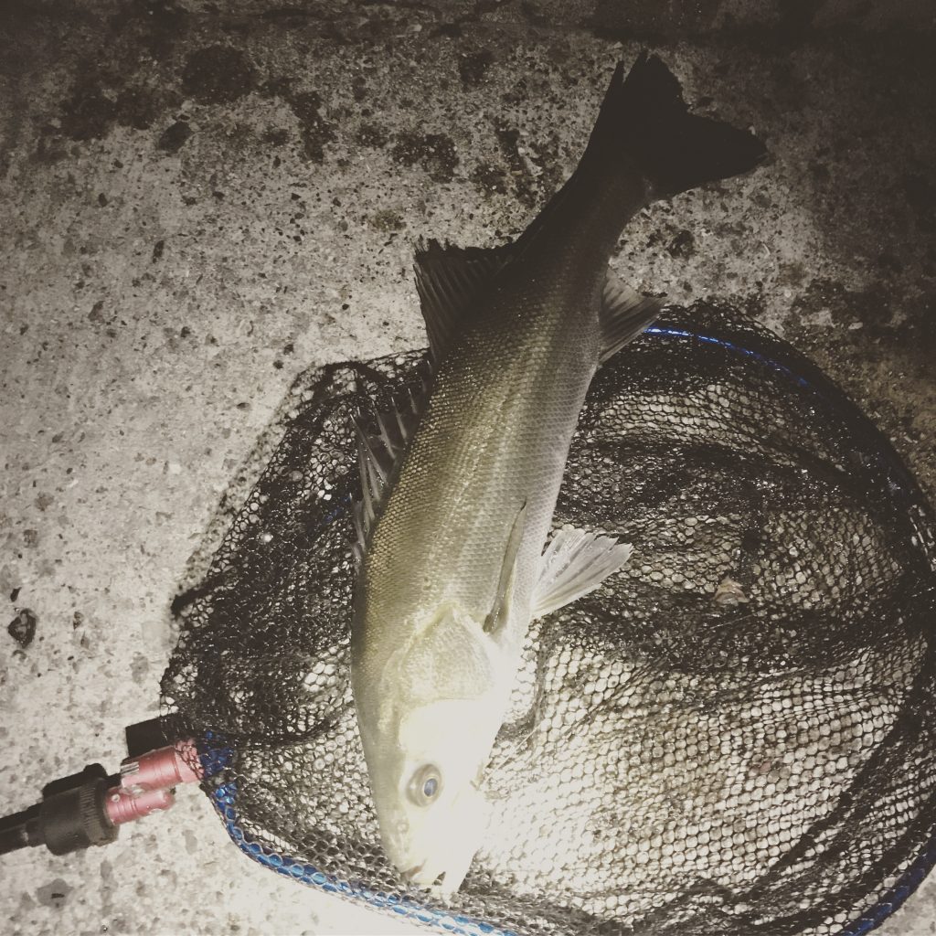 パーツイメージ