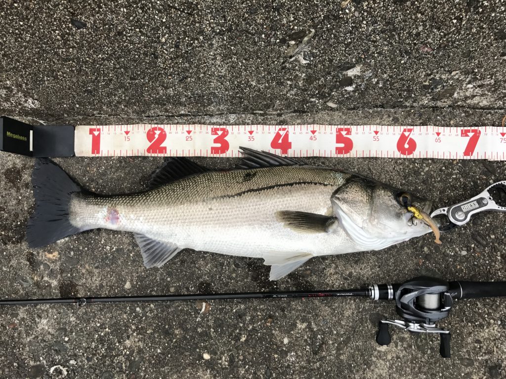 VJシリーズの活躍する場面