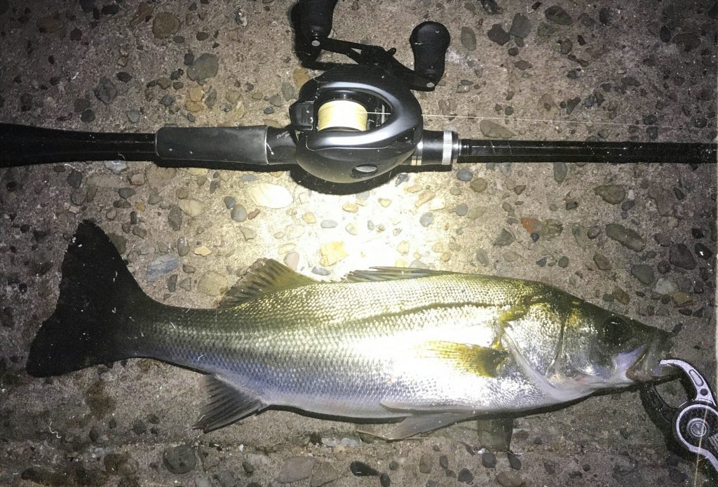 ベイトリールイメージ