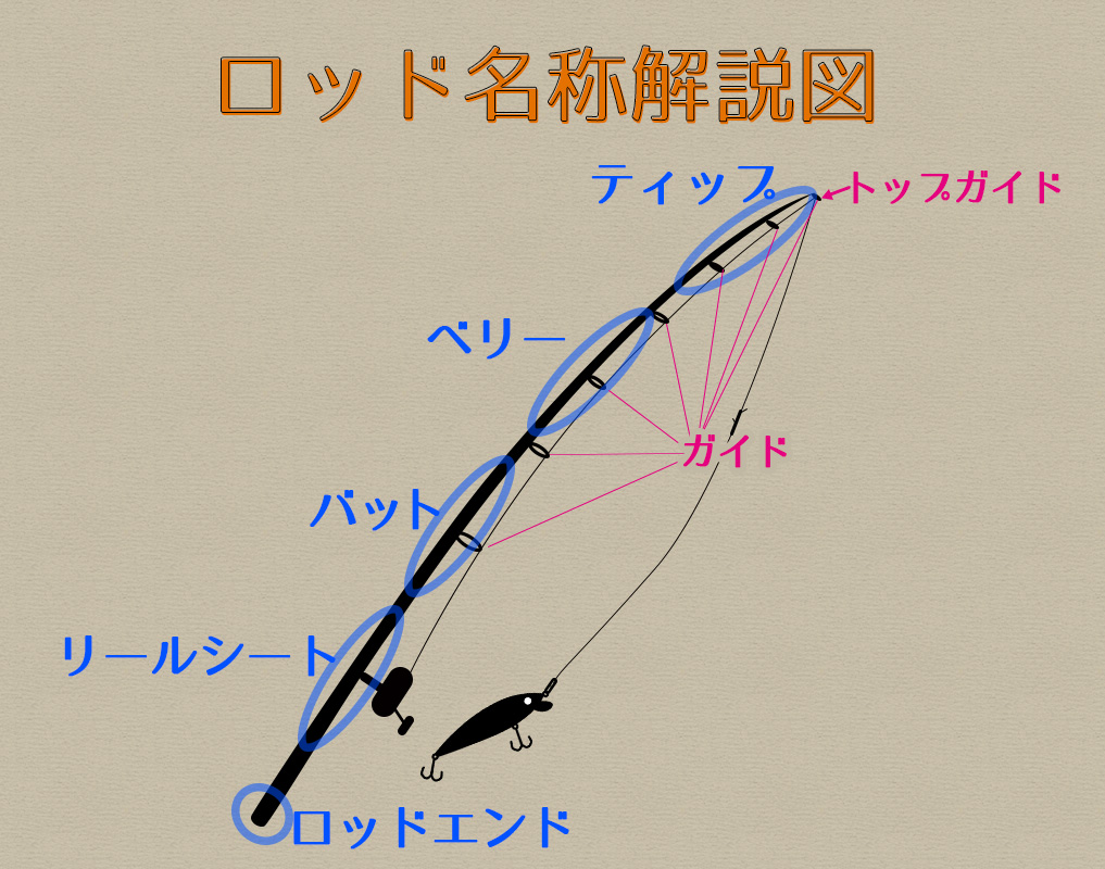 シーバスロッドの説明図