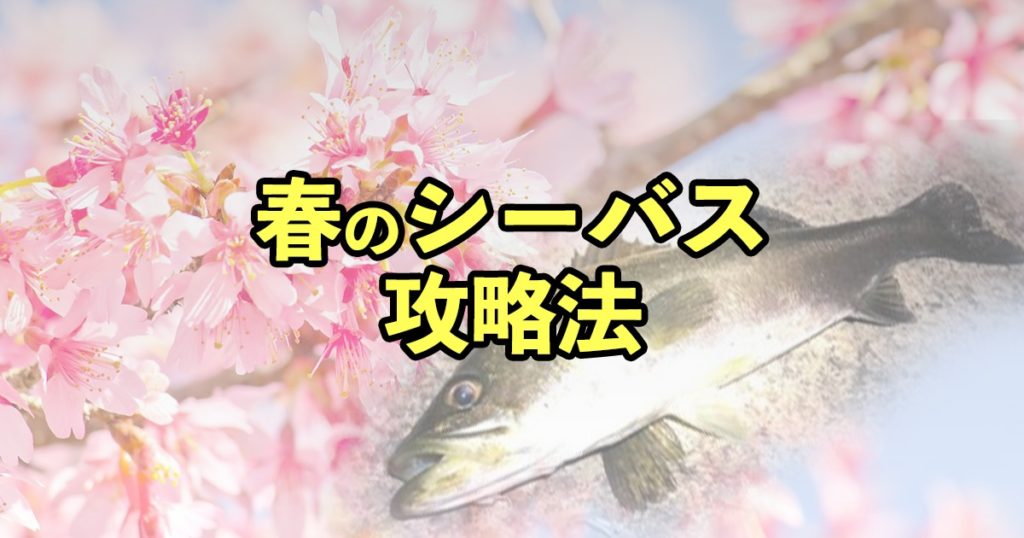 春のシーバス攻略法！