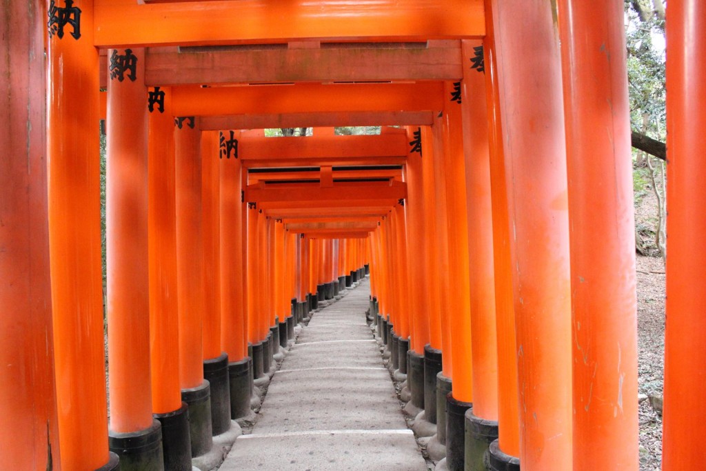 どこまでも続く千本鳥居