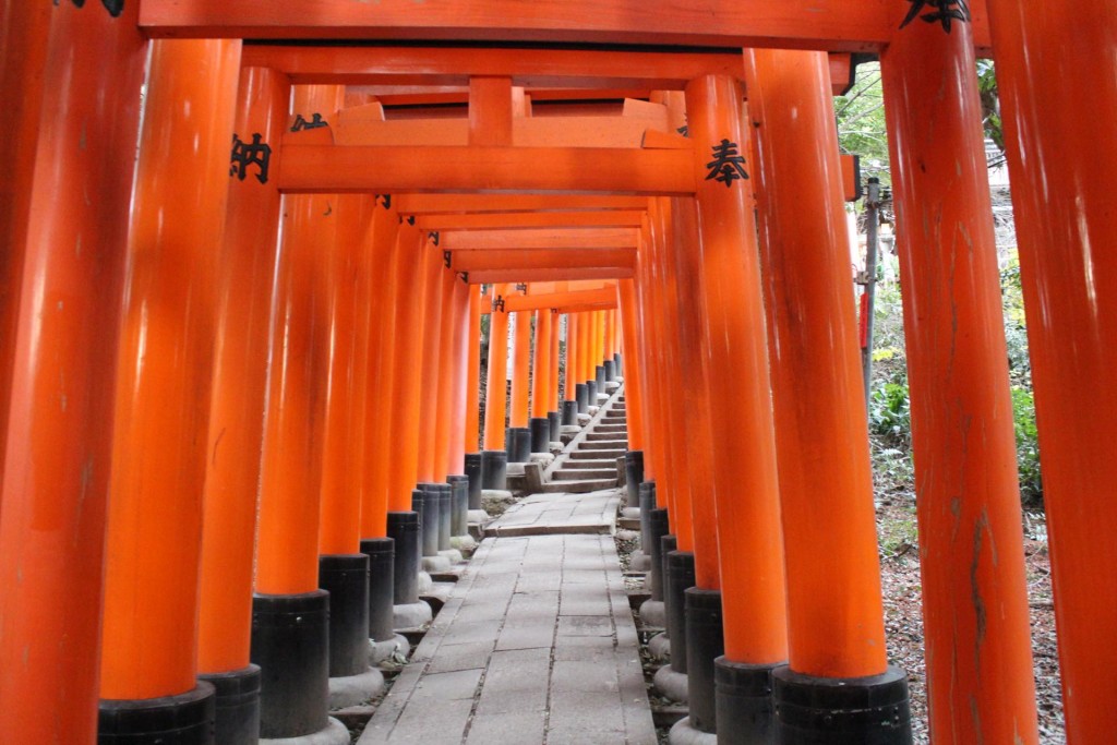 どこまでも続く石段